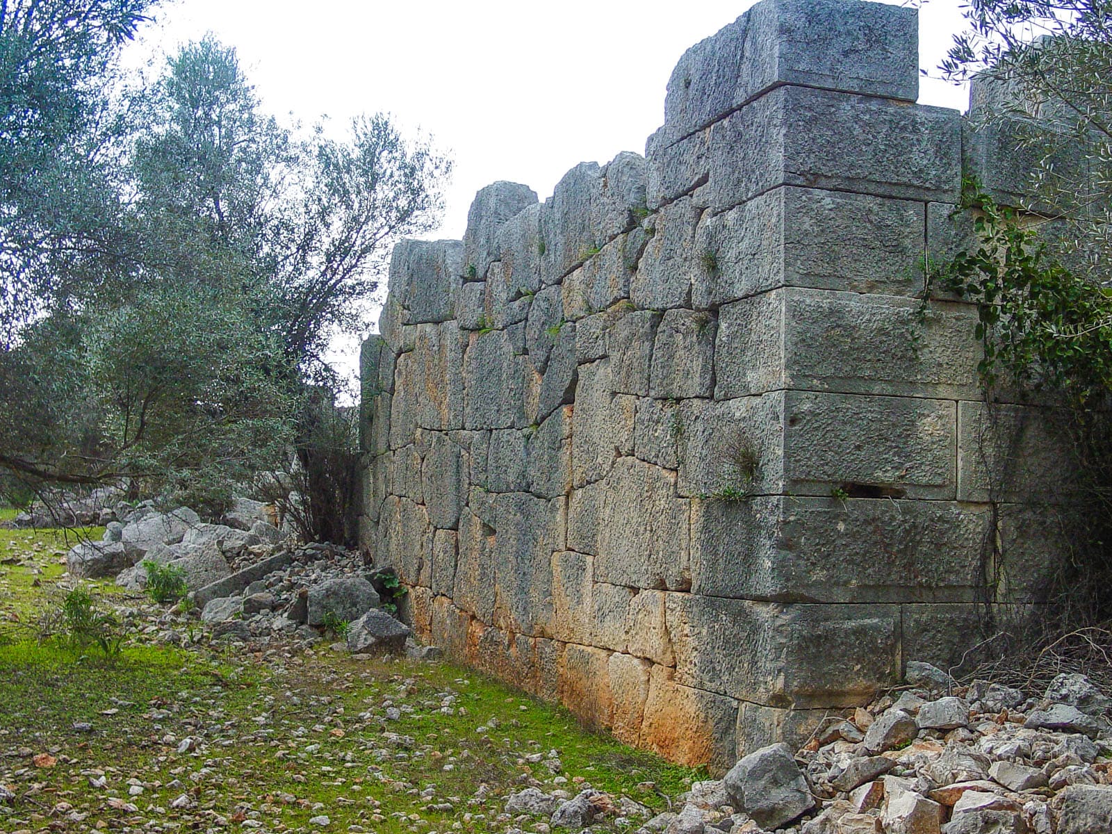 Back Wall